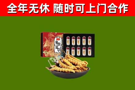 平房回收冬虫夏草价格