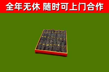 平房回收海参